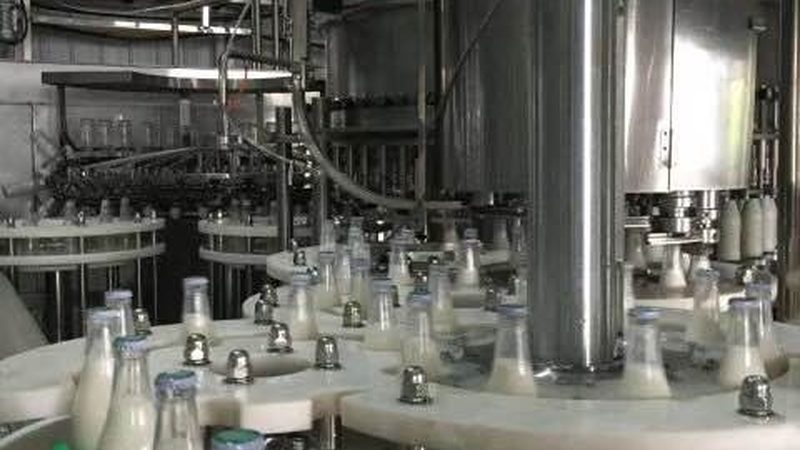速冻设备产量参数选择：关键因素与误区解析