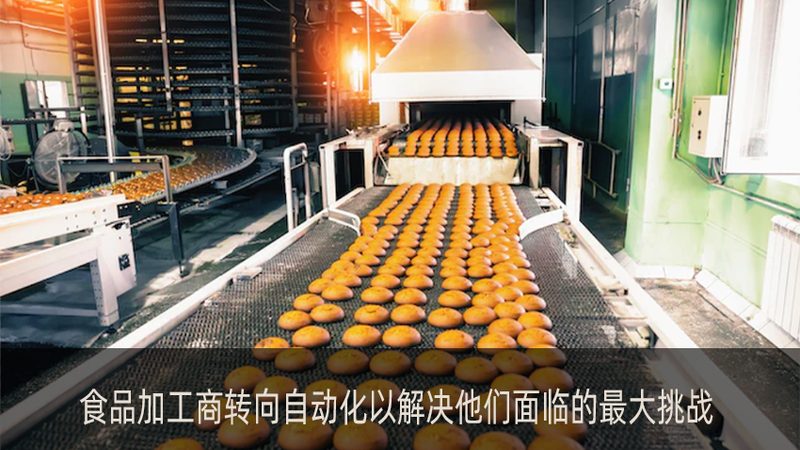 果蔬加工生产线设计方案：如何规避选型误区