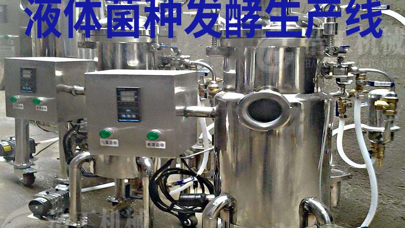 河北炒货机设备：揭秘价格背后的因素
